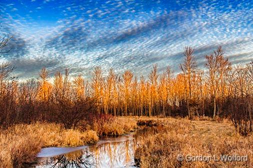 Brassils Creek At Sunrise_31184.jpg - Photographed near Burritts Rapids, Ontario, Canada.